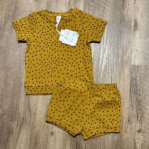 NWT Kate Quinn 4t Honey Dot Mustard Wide Rib Set